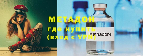 твердый Тайга