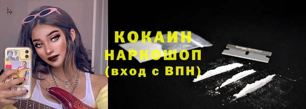 твердый Тайга