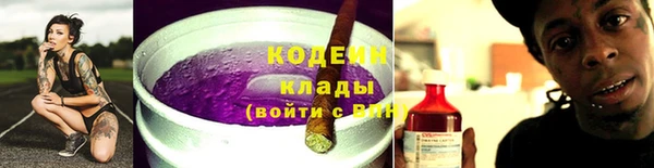 твердый Тайга