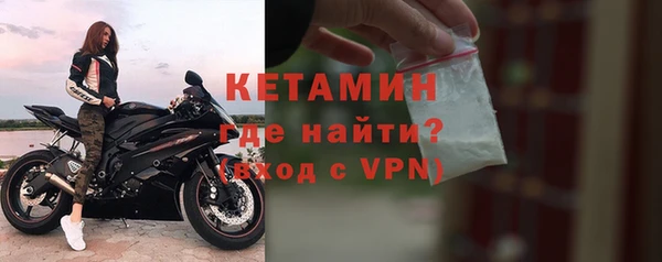 ГАЛЛЮЦИНОГЕННЫЕ ГРИБЫ Тавда