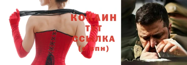 ГАЛЛЮЦИНОГЕННЫЕ ГРИБЫ Тавда