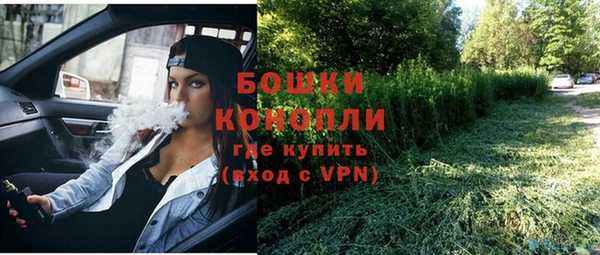 ГАЛЛЮЦИНОГЕННЫЕ ГРИБЫ Тавда
