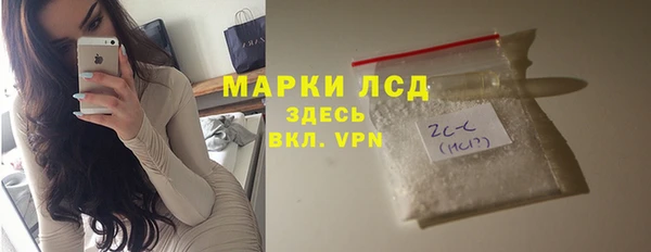 ГАЛЛЮЦИНОГЕННЫЕ ГРИБЫ Тавда