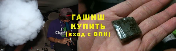 твердый Тайга