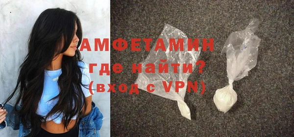 твердый Тайга