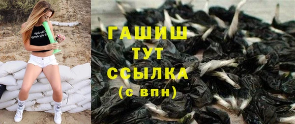 твердый Тайга