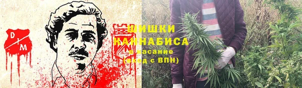 ГАЛЛЮЦИНОГЕННЫЕ ГРИБЫ Тавда