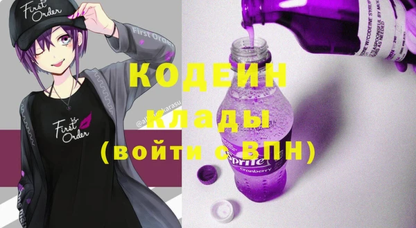 твердый Тайга