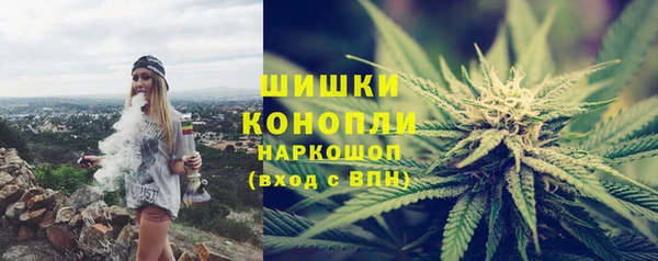 твердый Тайга