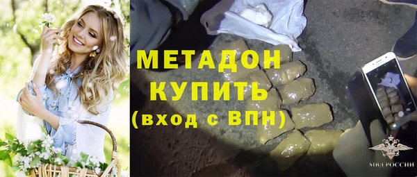 твердый Тайга