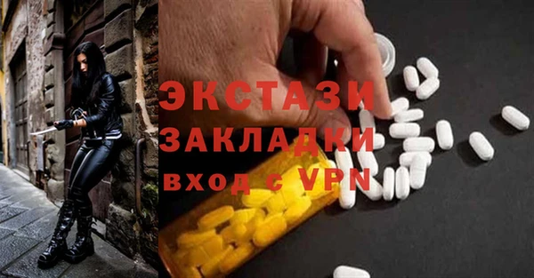 твердый Тайга