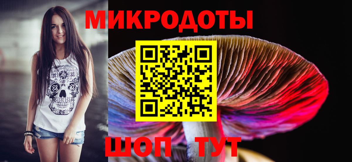 Галлюциногенные грибы Psilocybine cubensis  Нижнекамск  Псилоцибиновые грибы Cubensis 